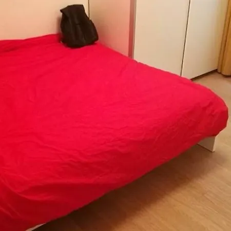 In A Modern Flat Homestay